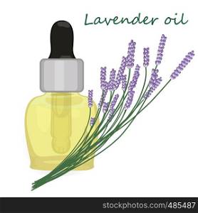 Lavender essential oil vector illustration Aromatherapy