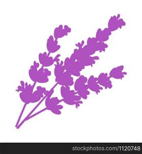 Lavender flat flower. Isolated lavender on white background illustration. EPS 10. Vector illustration. Lavender flower. Isolated lavender on white background illustration. EPS 10. Vector illustration