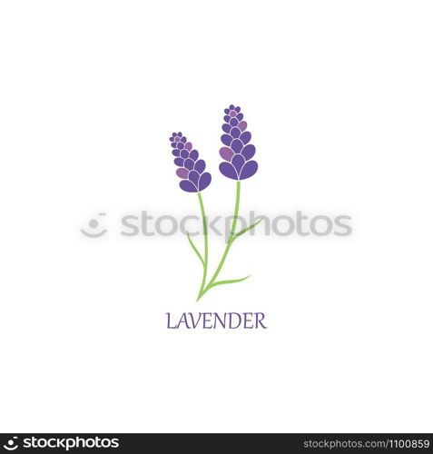 lavender floral aromatic logo vector icon illustration design
