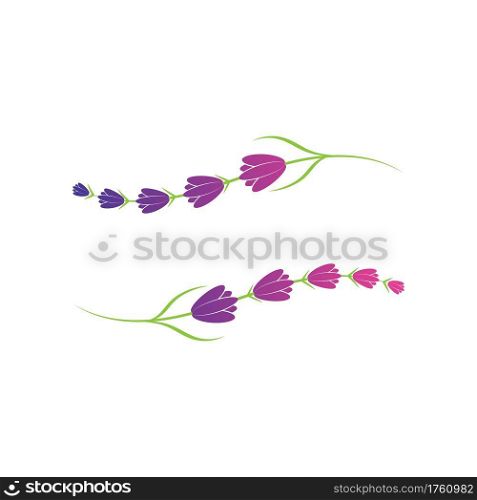Lavender flower logo symbol template vector