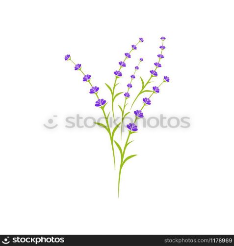 Lavender flower Vector icon illustration design Template