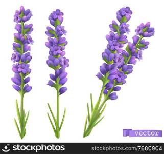 Lavender flowers. 3d vector realistic set