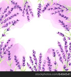 Lavender flowers background design.. Lavender flowers background design. Watercolor natural illustration of Provence herbs.