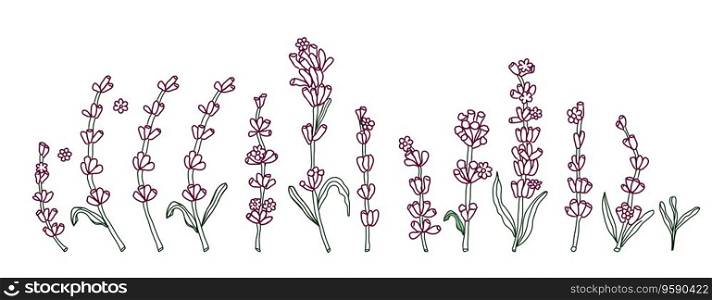 Lavender flowers clip art, vector simple hand drawn illustration for card or invitation. Lavender flowers clip art, vector simple hand drawn illustration for card or invitations