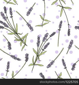 Lavender flowers colored seamless vector pattern sketch style. Bunch of purple Lavandula flowers in bloom. hand drawn Ink pen. illustration. For prints perfume, cosmetics design, healthcare, medicine. Lavender flowers colored seamless vector pattern sketch style. Bunch of purple Lavandula flowers in bloom