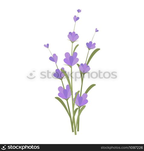 Lavender flowers. Purple flowers. vector illustration