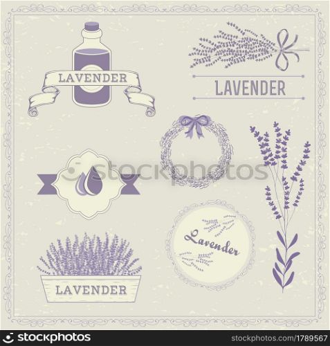 Lavender herb flower, floral vintage background