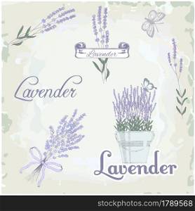 Lavender herb flower, floral vintage background