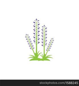 Lavender icon and symbol vector template illustration
