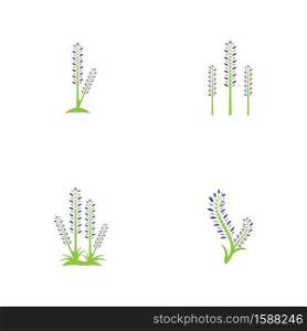 Lavender icon and symbol vector template illustration
