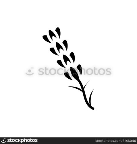 lavender icon vector design templates white on background