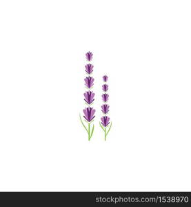 Lavender Logo Template vector symbol nature