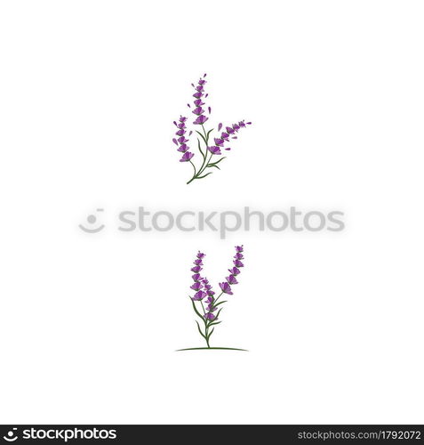 Lavender Logo Template vector symbol nature