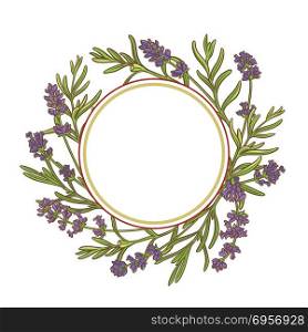 lavender plant vector frame. lavender plant vector frame on white background