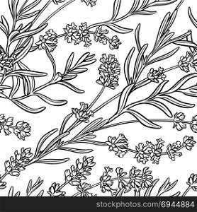 lavender seamless pattern. lavender herb seamless pattern on white background