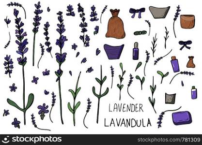 Lavender set composition in doodle style. Flowers elements and lettering isolated on white background. Vector illustration.