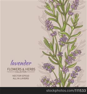 lavender vector background. lavender flowers vector pattern on color background