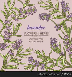 lavender vector frame. lavender flowers vector frame on color background