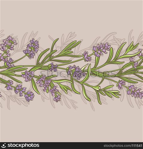 lavender vector pattern. lavender flowers vector pattern on color background