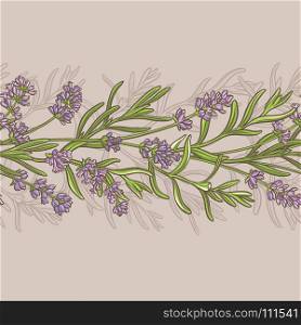lavender vector pattern. lavender flowers vector pattern on color background