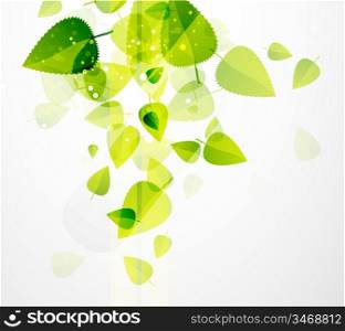 Leaf abstract background