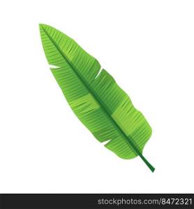 leaf banana cartoon vector. green palm tree, tropical plant, fresh summer leaf banana. isolated color illustration. leaf banana cartoon vector