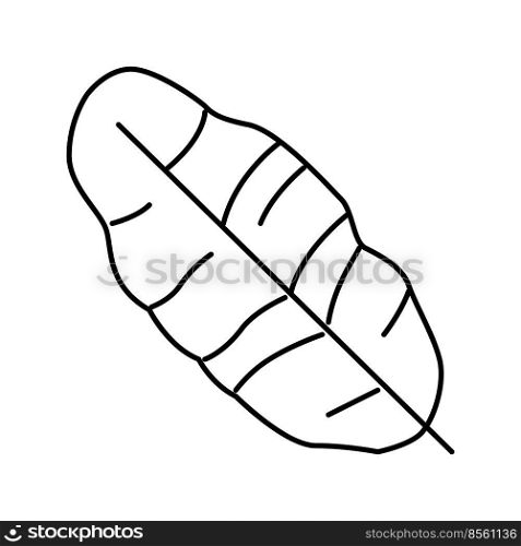 leaf banana line icon vector. leaf banana sign. isolated contour symbol black illustration. leaf banana line icon vector illustration