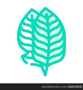 leaf banana plant color icon vector. leaf banana plant sign. isolated symbol illustration. leaf banana plant color icon vector illustration