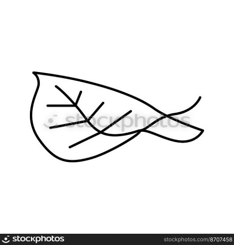 leaf birch autumn line icon vector. leaf birch autumn sign. isolated contour symbol black illustration. leaf birch autumn line icon vector illustration