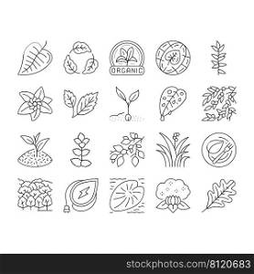 Leaf Branch Natural Foliage Tree Icons Set Vector. Organic Freshness Leaf And Flower, Vegetarian Food Ingredient And Herbal Nature Environment. Oak Autumn Forest Black Contour Illustrations. Leaf Branch Natural Foliage Tree Icons Set Vector