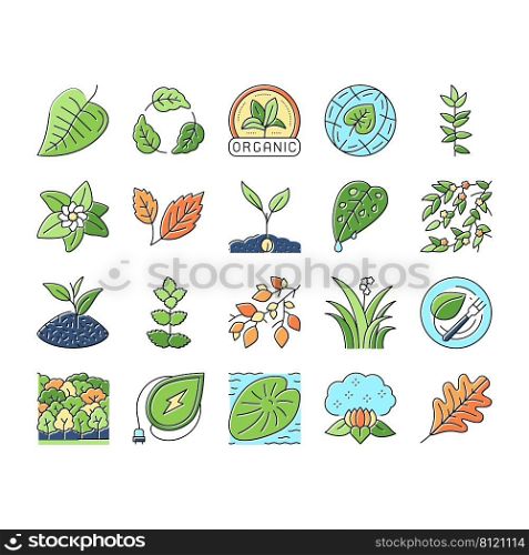 Leaf Branch Natural Foliage Tree Icons Set Vector. Organic Freshness Leaf And Flower, Vegetarian Food Ingredient And Herbal Nature Environment. Oak Autumn Forest Color Illustrations. Leaf Branch Natural Foliage Tree Icons Set Vector