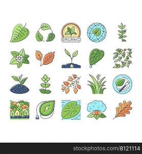 Leaf Branch Natural Foliage Tree Icons Set Vector. Organic Freshness Leaf And Flower, Vegetarian Food Ingredient And Herbal Nature Environment. Oak Autumn Forest Color Illustrations. Leaf Branch Natural Foliage Tree Icons Set Vector