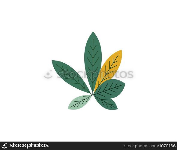 leaf decoration vector illustration background design