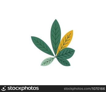 leaf decoration vector illustration background design