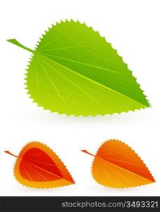 Leaf designs