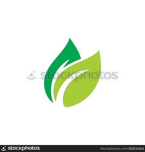 leaf ecology  icon vector illustration template design