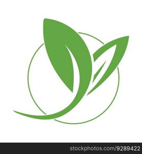 leaf ecology  icon vector illustration template design