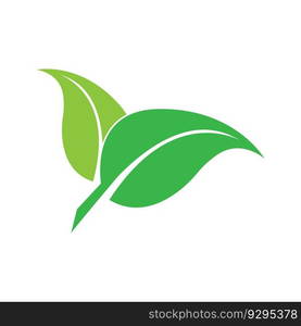 leaf ecology  icon vector illustration template design