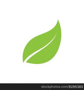 leaf ecology  icon vector illustration template design