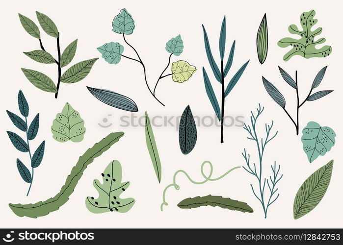 Leaf elements on a beige background vector