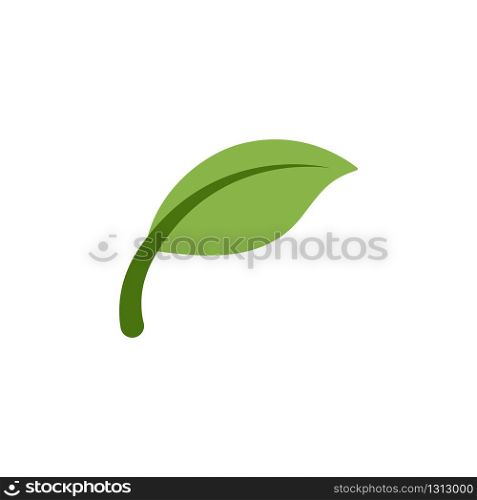 Leaf. Flat color icon. Isolated nature vector illustration