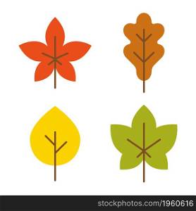 Leaf flat icon set. Vector collection. Tree leaves. Spring, summer, autumn element.