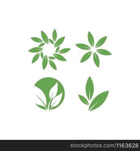 Leaf graphic design template vector isolated illustration