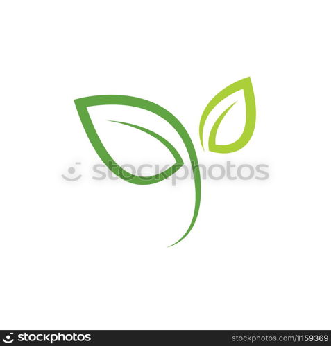 Leaf graphic design template vector isolated illustration. Leaf graphic design template vector illustration