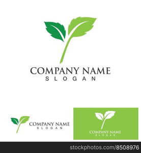 Leaf green logo and symbol vector template