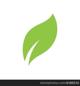 Leaf green logo and symbol vector template