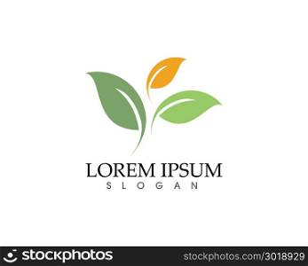 leaf green nature logo and symbol template