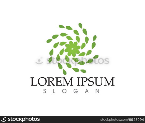 leaf green nature logo and symbol template Vector