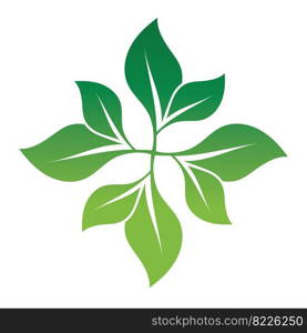 Leaf green ornament design and symbol vector template