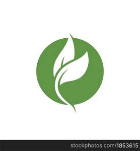 Leaf green plant logo fresh vector template